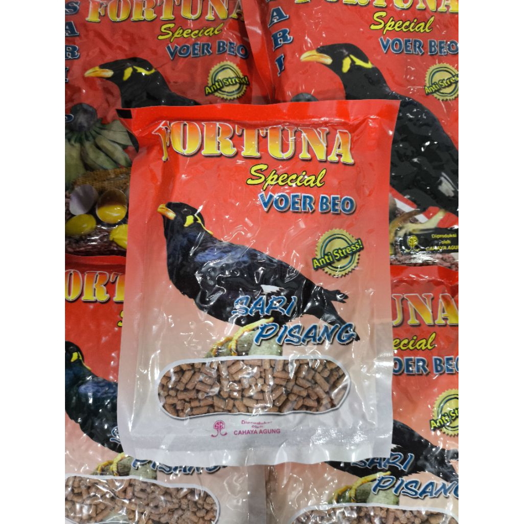FORTUNA BEO, Voer burung beo, pakan pelet