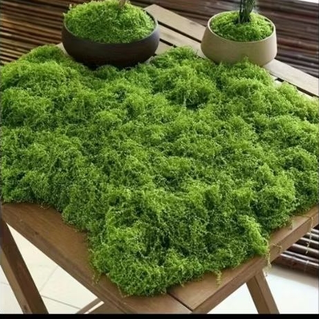 LUMUT SINTETIS / LUMUT ABADI / MOSS DRIED / LUMUT AWETAN / DEKORASI MOSS / DEKORASI LUMUT
