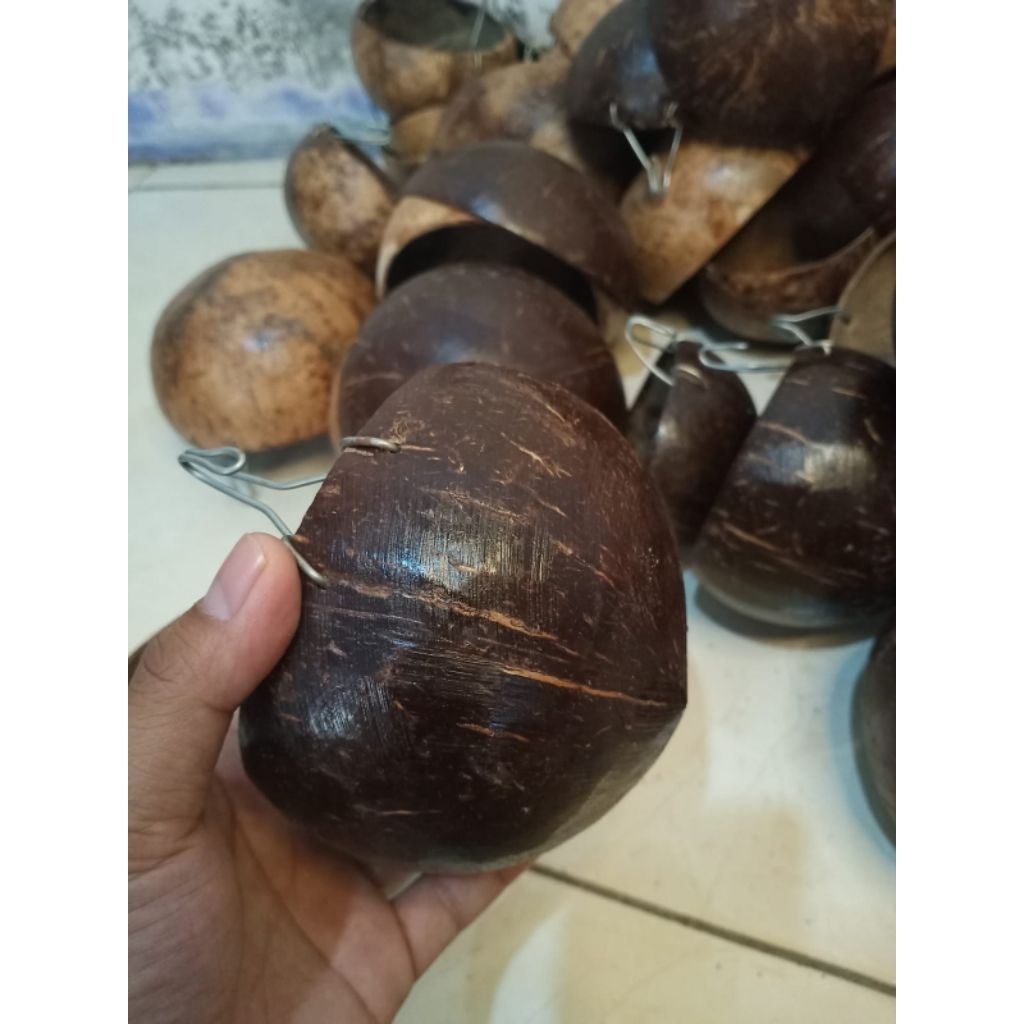 Batok kelapa Cepuk Kelapa Untuk Pakan/Minum Ayam