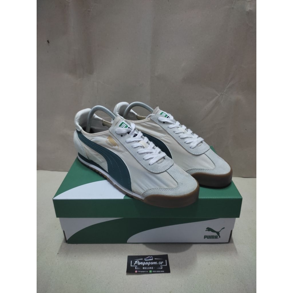 Puma Roma