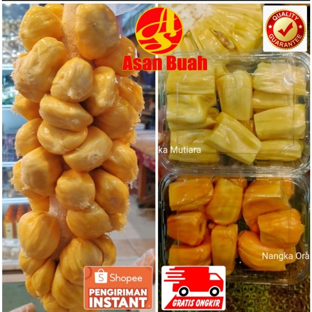 Buah Nangka Cempedak Madu Manis Tebal Garing  Segar Kupas Matang  Fresh  Nangkadak Frozen