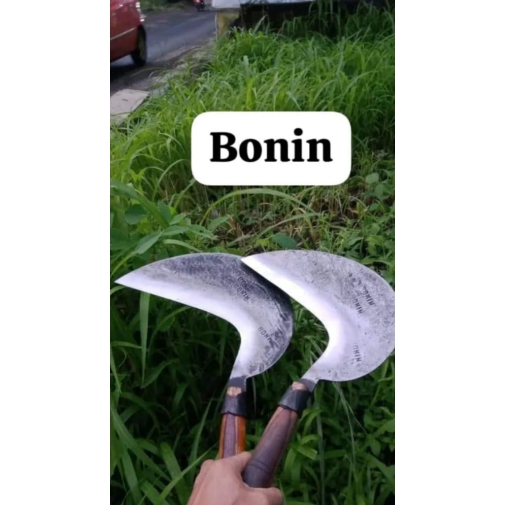 ARIT BONIN Baja Isen Premium Asli - Sabit Pengarit Rumput [ SUPER TAJAM ] Siap Pakai
