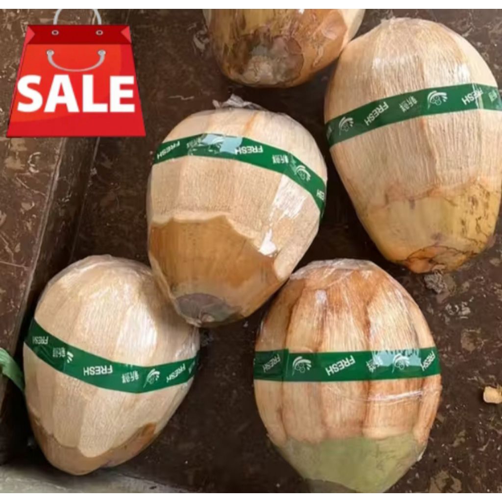 klapa kopyor kualitas super uk 41-44 cm baru petik petani jawa tengah