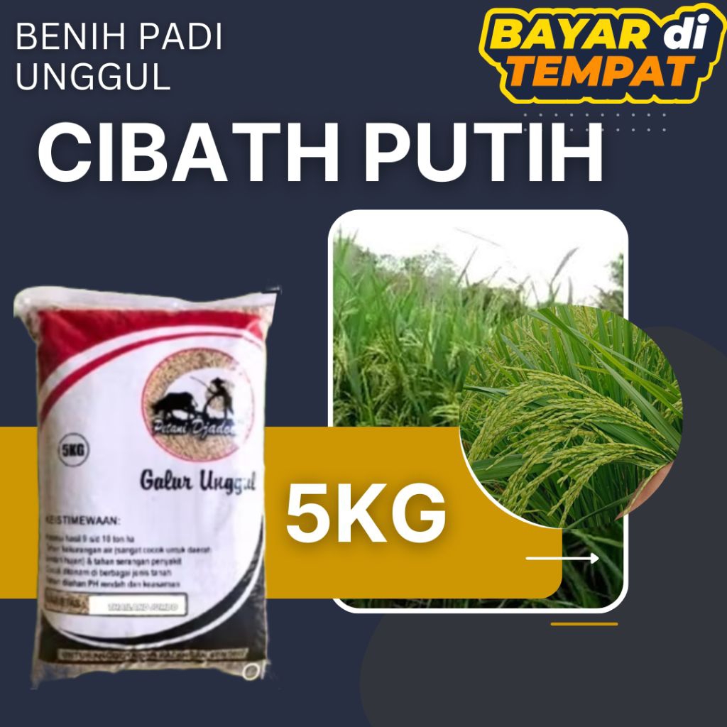 BENIH PADI CIBATU PUTIH 5KG