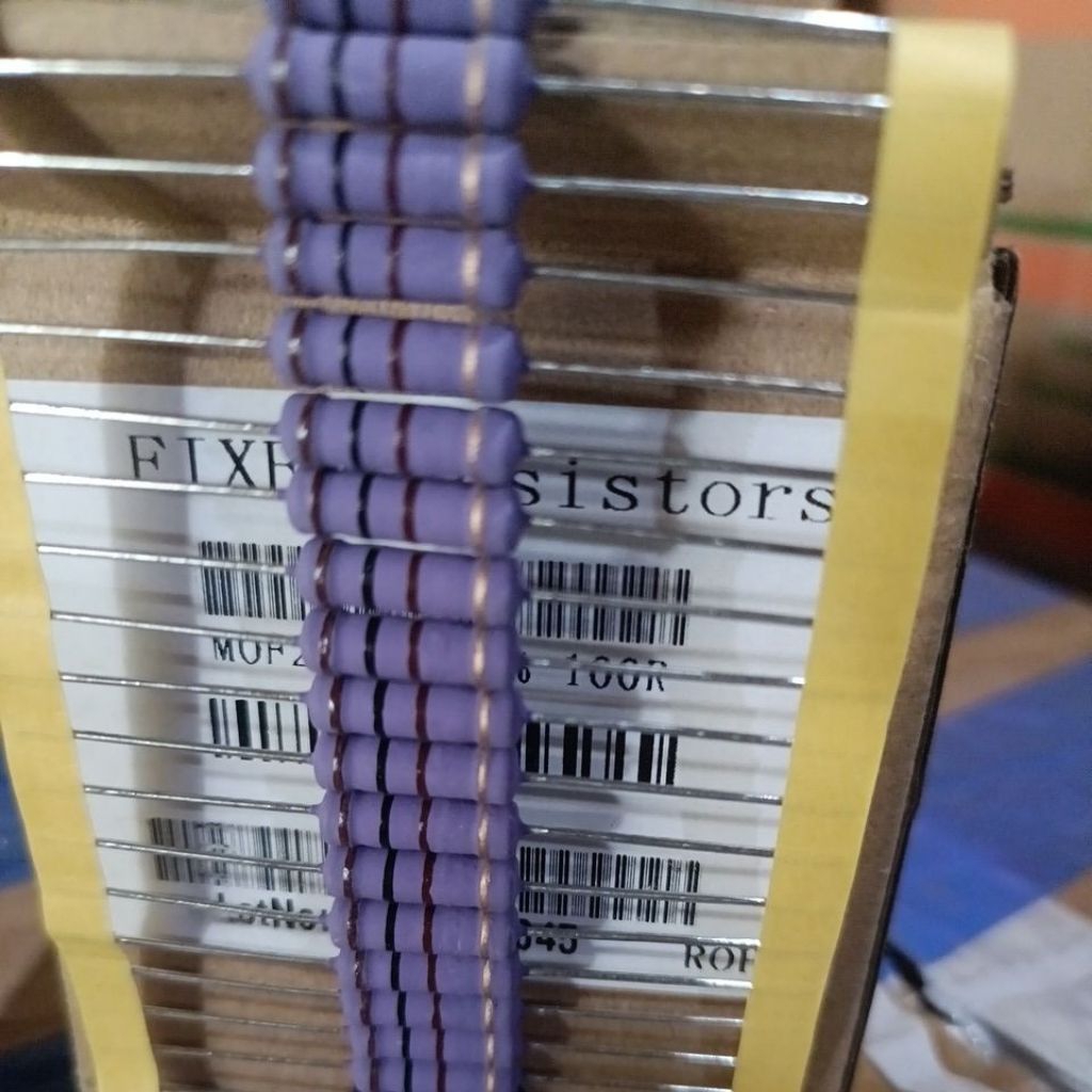 10.pcs Resistor 100 ohm 2watt R 100ohm 2 watt warna ungu.