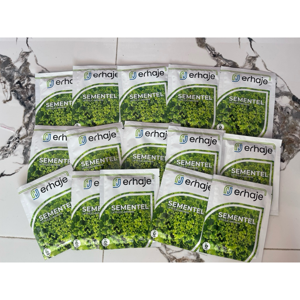 Benih Selada Bejo Sementel