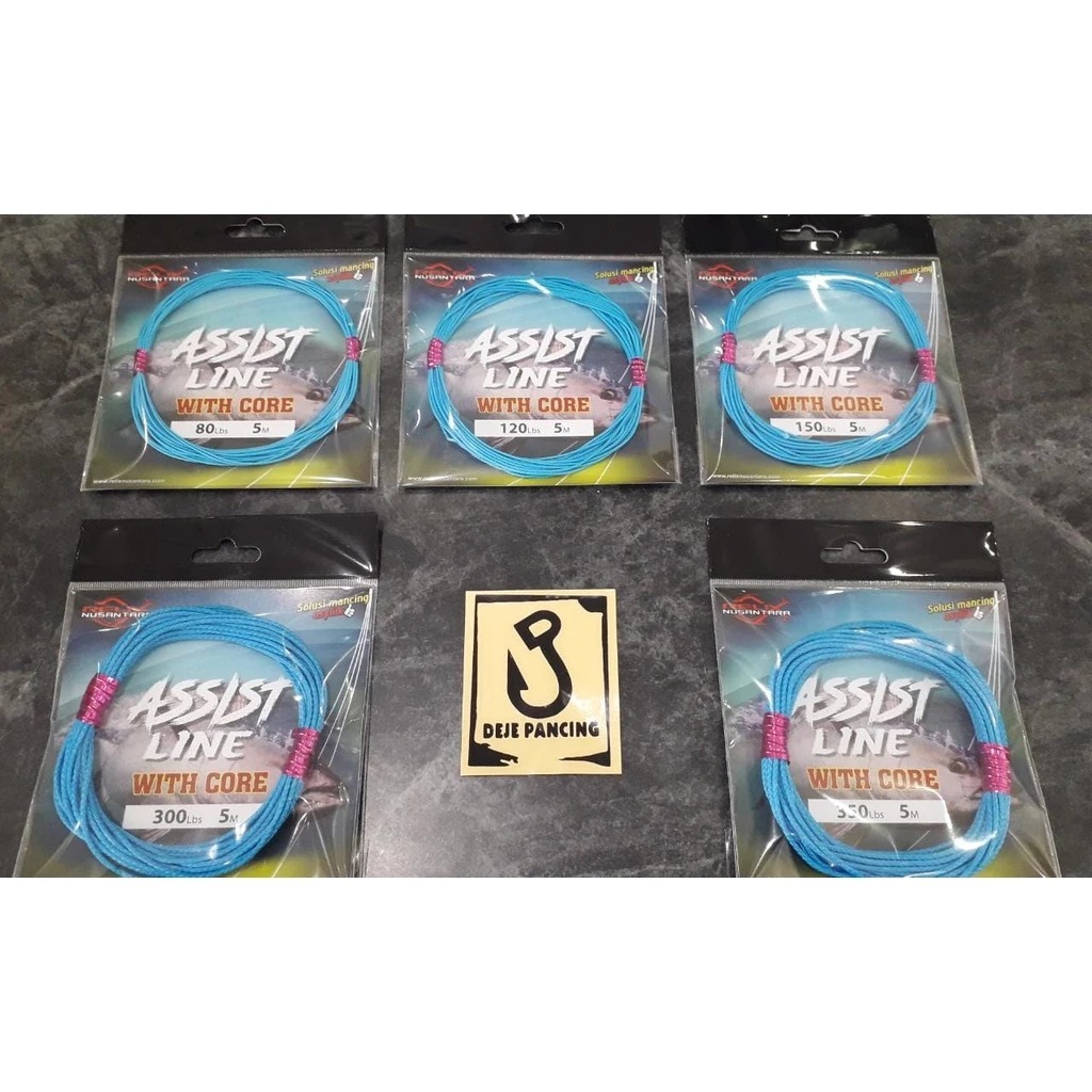 Accessories Relix Nusantara Assist Line With Core 5m Ice Blue 80Lb 120Lb 150Lb 200Lb 300Lb 350Lb