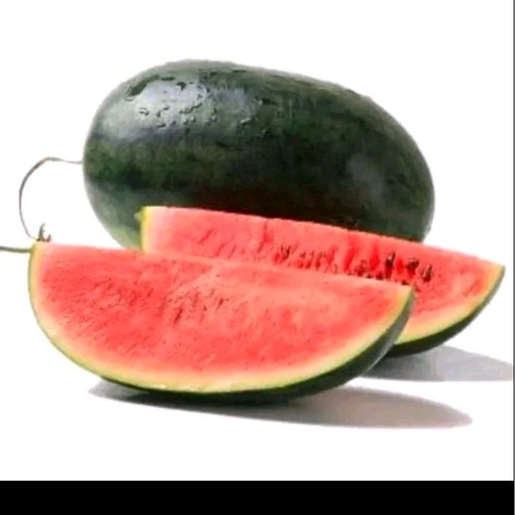 Biji benih semangka inul Mardy