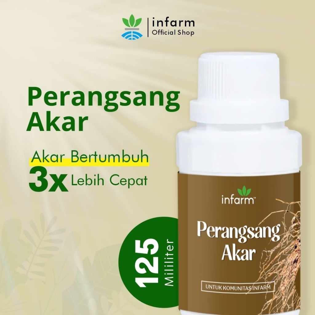 Infarm Perangsang Akar Ori