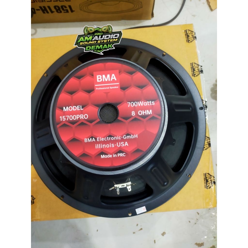 Speaker 15Inch BMA15700Pro