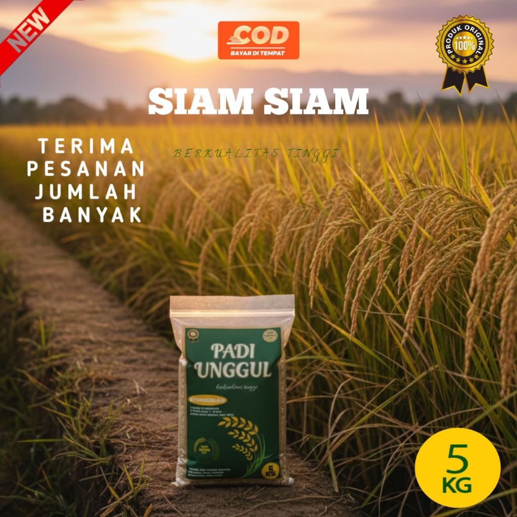 BENIH PADI SIAM-SIAM 5KG BIBIT PADI SIAM SIAM KUALITAS SUPER PREMIUM ORIGINAL