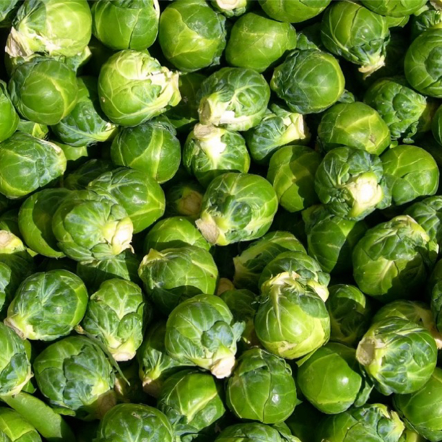Brussel Sprout Fresh / Kubis Mini Segar 500gram