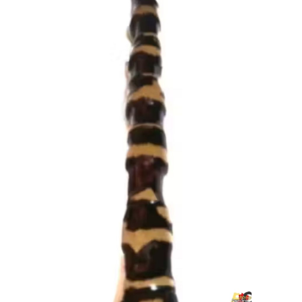 bahan joran reflika cendani bambu tua