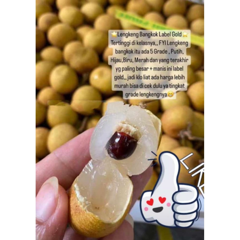 LENGKENG BANGKOK GOLD  (1 KG)
