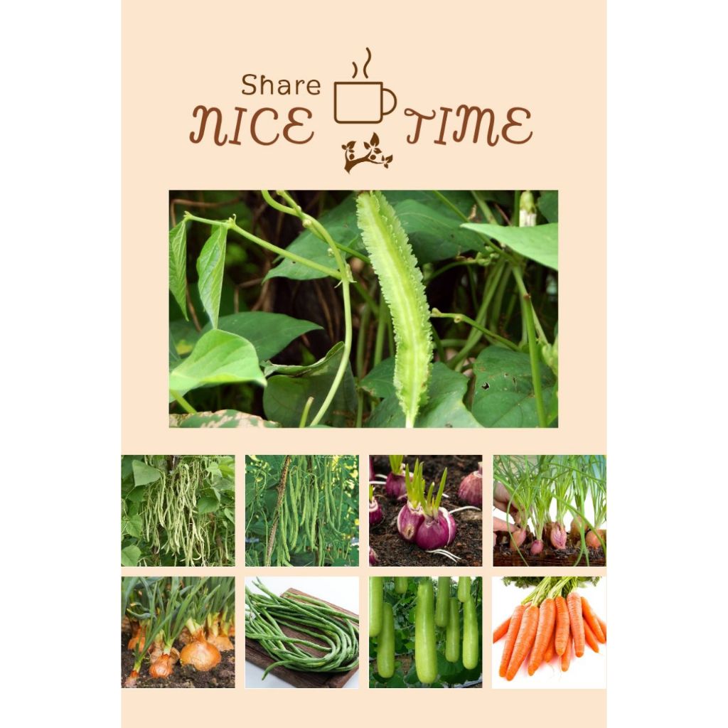 BR-G ANEKA BIBIT SAYURAN, BUAH, BUNGA, DAN CABAI