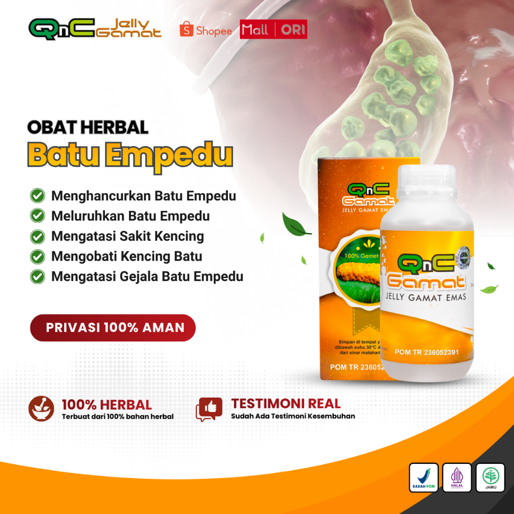 QnC Gamat - Obat Batu Empedu, Obat Penghancur Batu Empedu, Obat Peluruh Batu Empedu