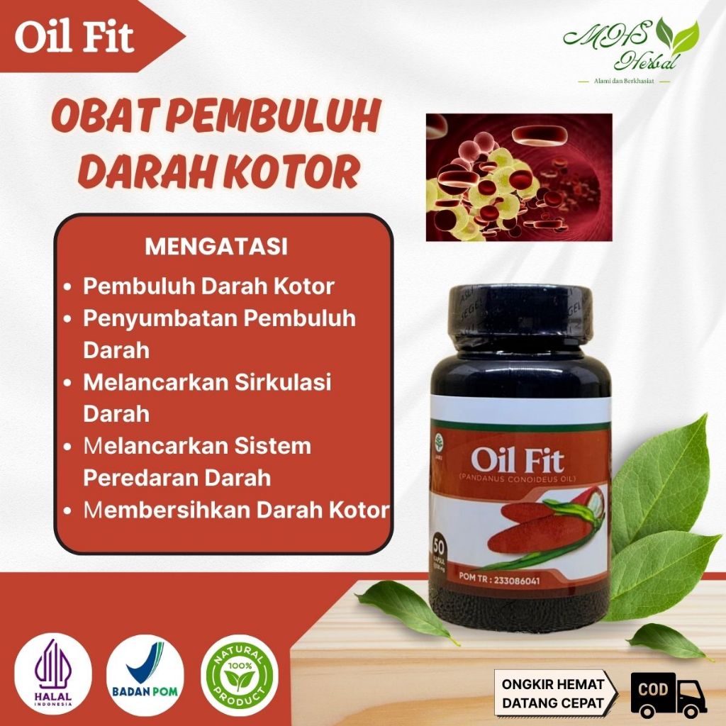 Obat Pembuluh Darah Kotor, Penyumbatan Pembuluh Darah, Pembersih Pembuluh Darah Kotor, Pembersih Pla