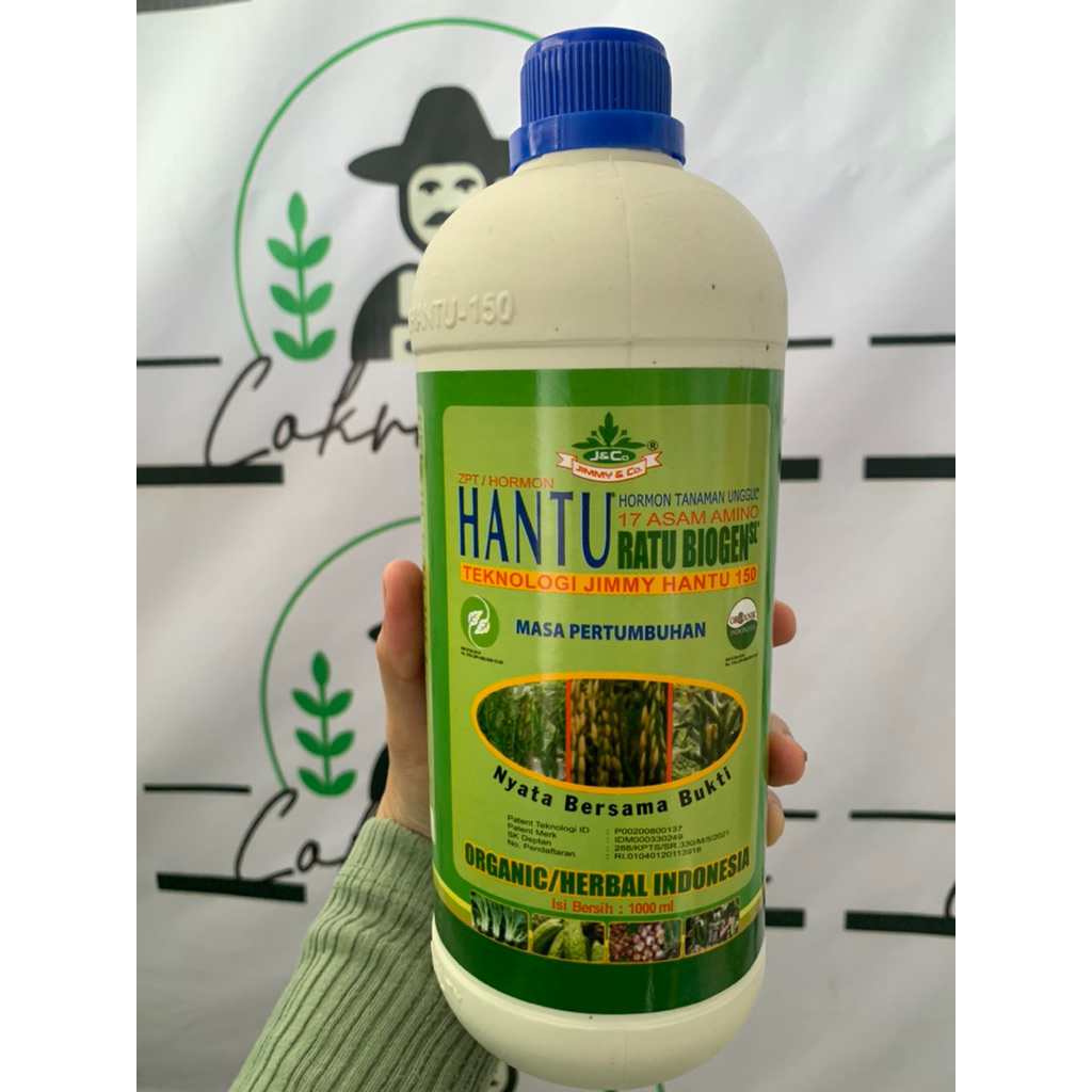 ZPT Hantu Ratu Biogen