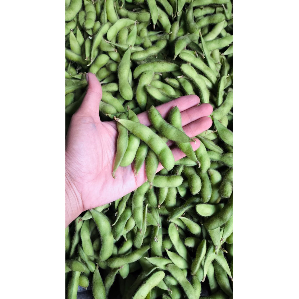 edamame fresh