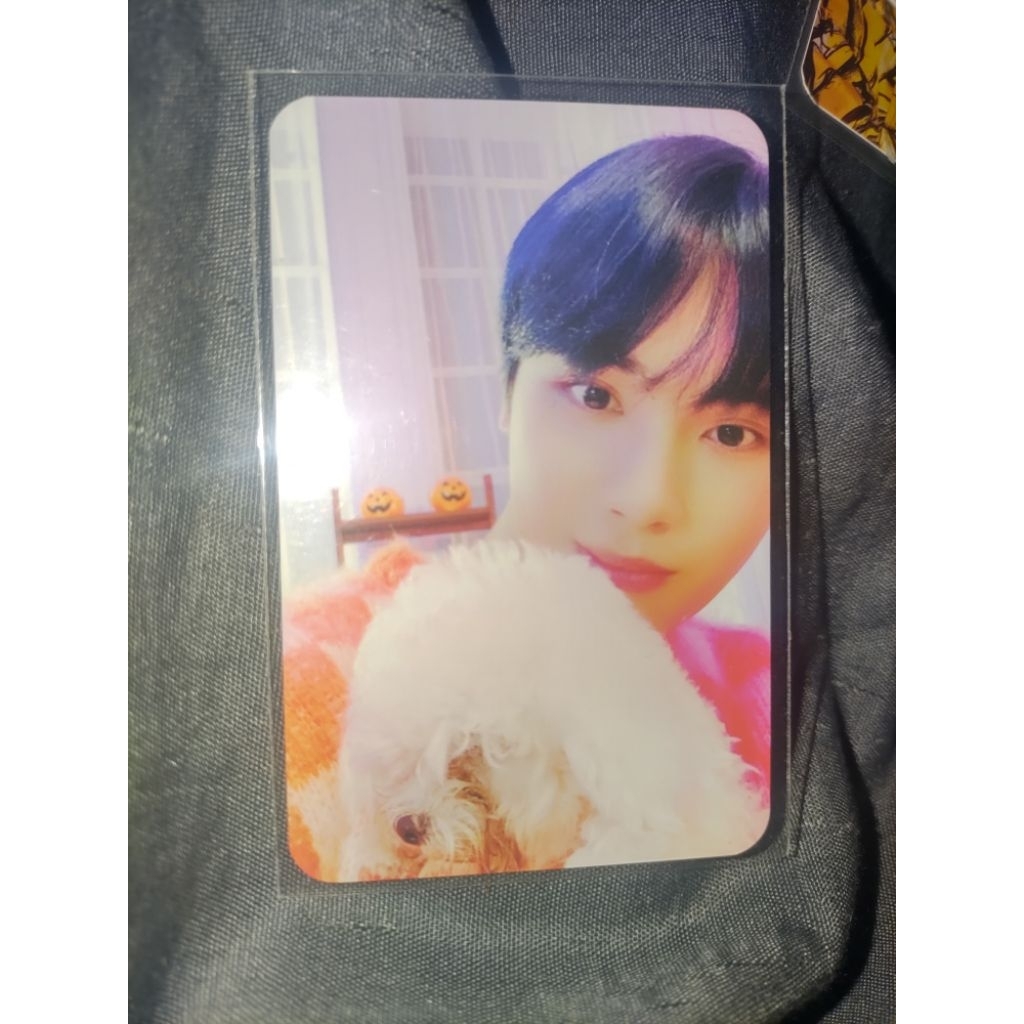 PHOTOCARD HAKNYEON THE BOYZ POB WITHDRAMA 3 BENEFIT ALBUM THE CHASE TBZ
