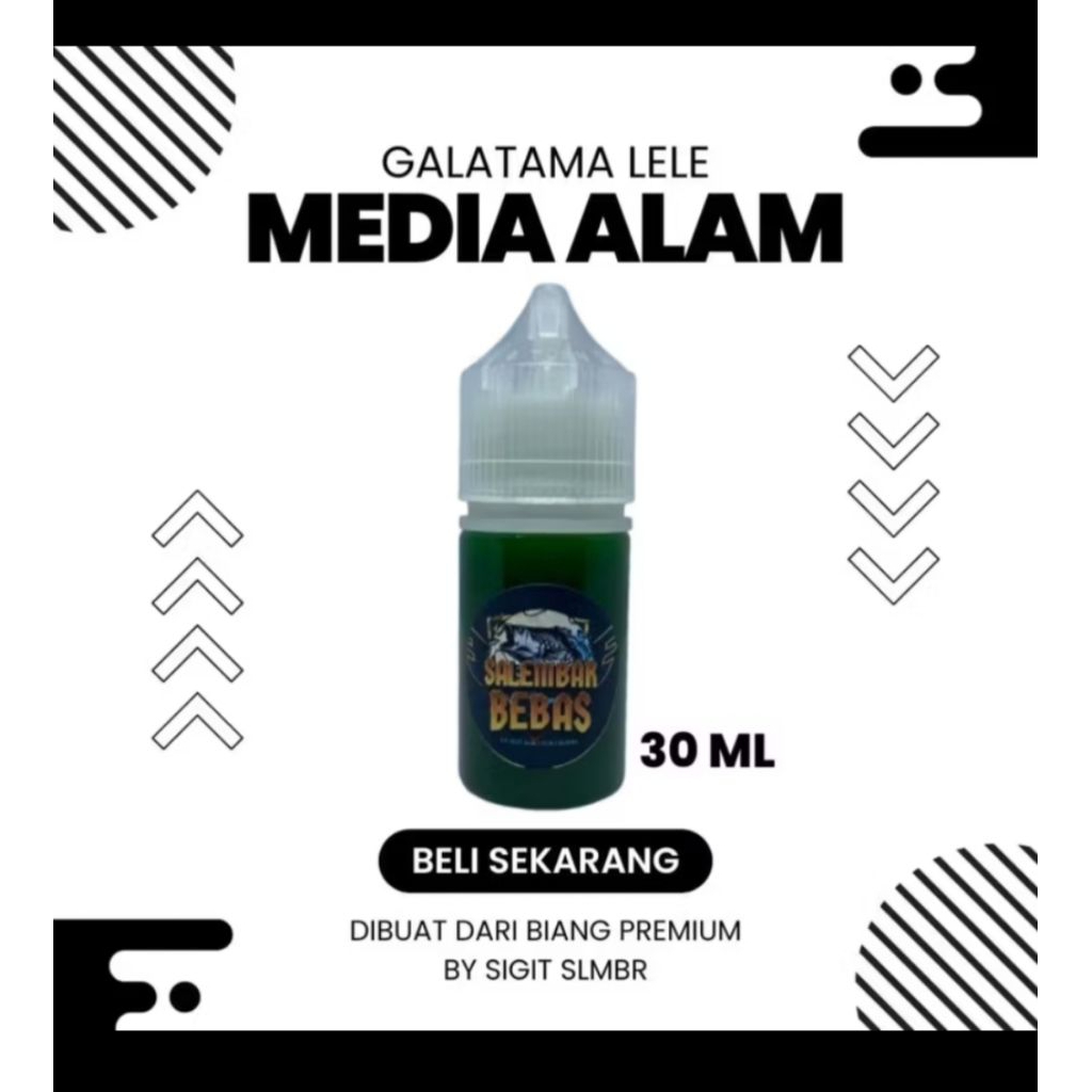 ESSEN GT LELE MEDIA ALAM