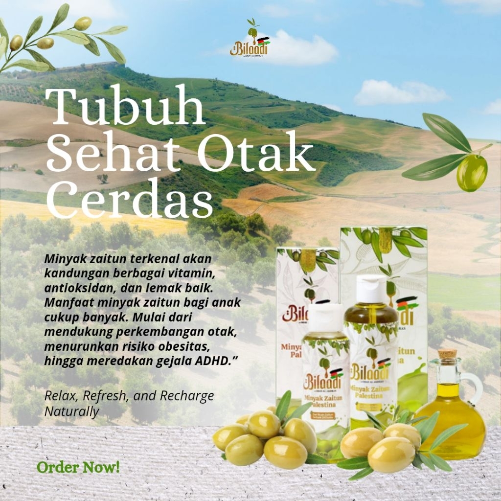 Minyak Zaitun Bilaadi Premium Palestina Asli 100% Perasan Pertama Extra Virgin Olive Oil Kemasan