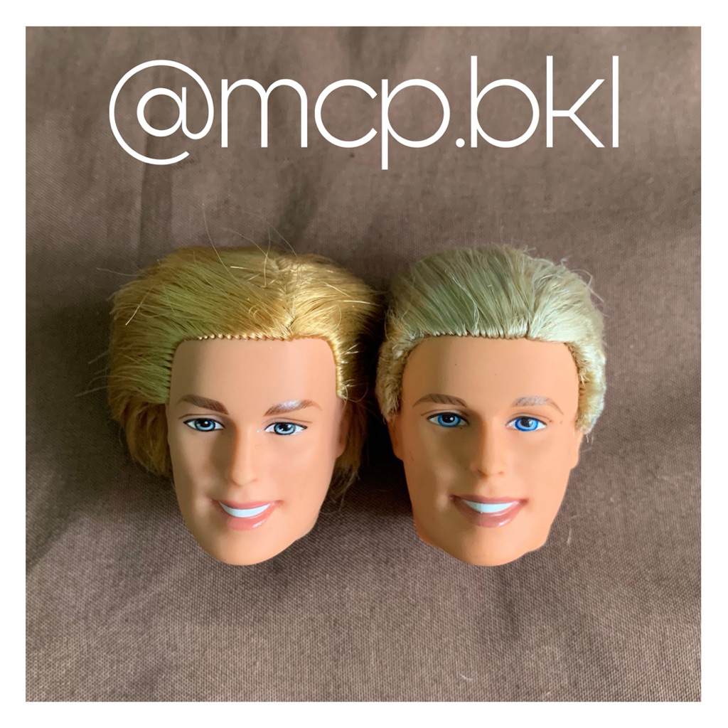 Barbie Head Ken Prince dari seri Rapunzel dan Swan Lake Preloved