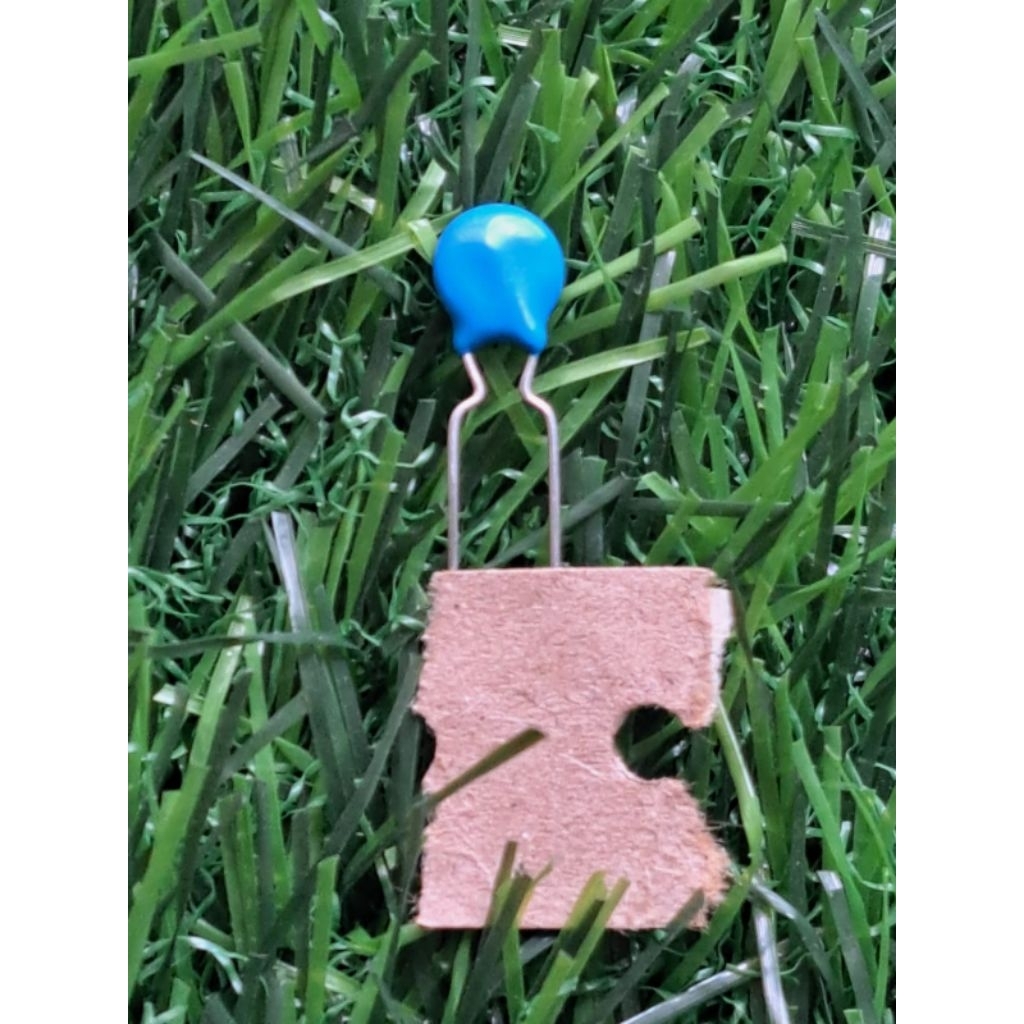 kapasitor 22pf 22p 1kv 1000v renceng