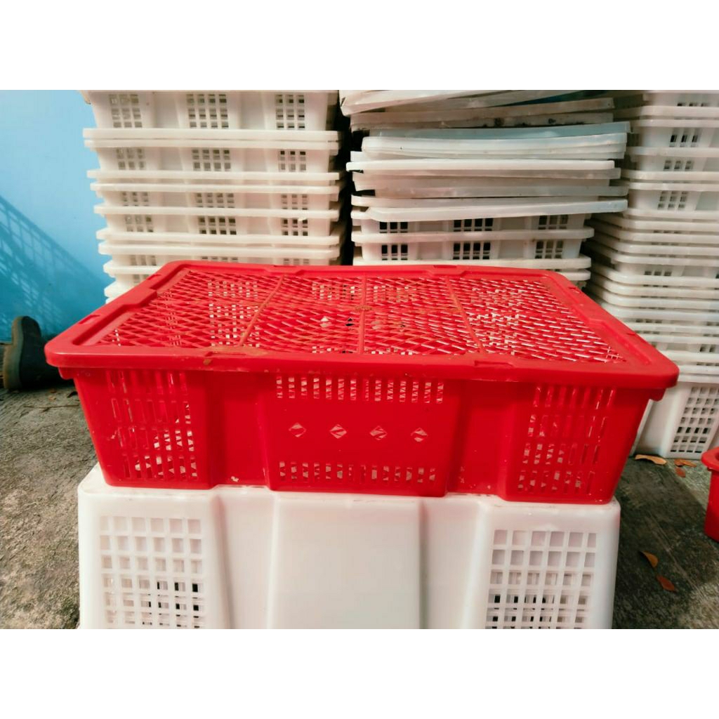 Keranjang Buah Bekas Jeruk Anggur Bahan Tebal