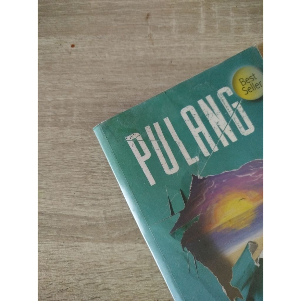 NOVEL BUKU PRELOVED PULANG TERE LIYE COVER HIJAU LAMA