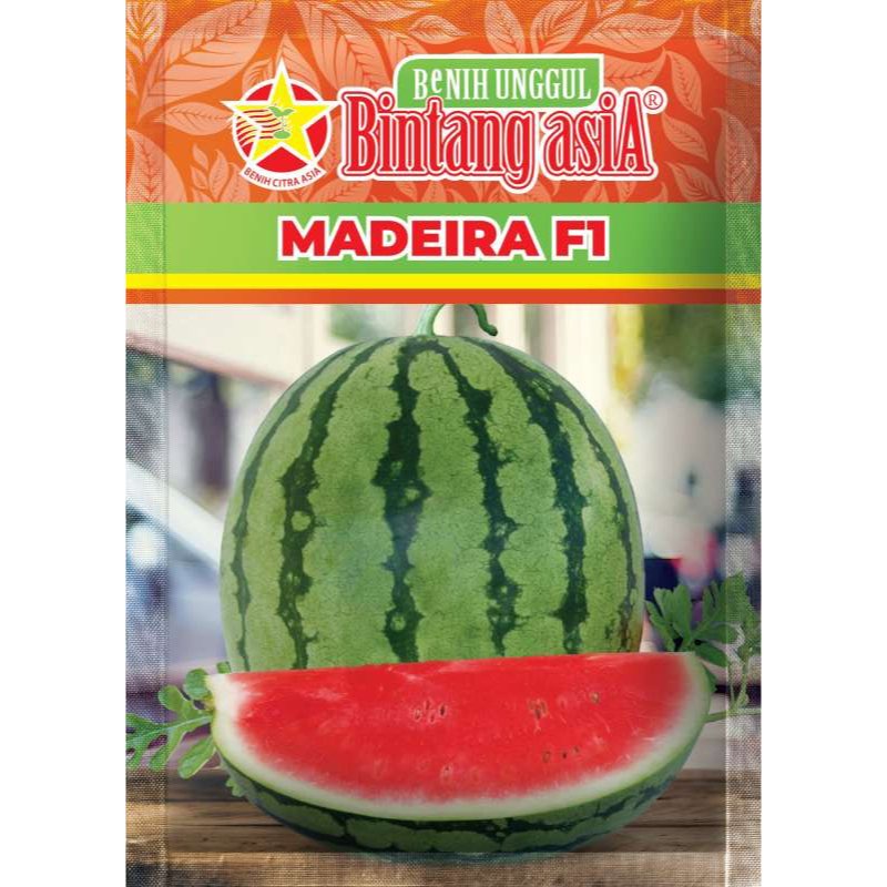 Benih Semangka Merah MADEIRA 20Gr Bintang Asia