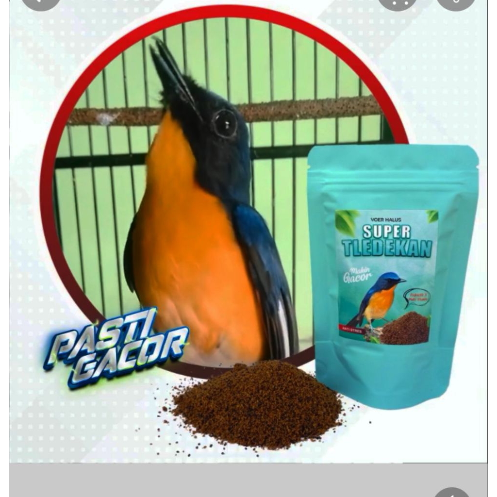 PUR BURUNG TLEDEKAN MAKANAN BURUNG TLEDEKAN BIAR GACOR