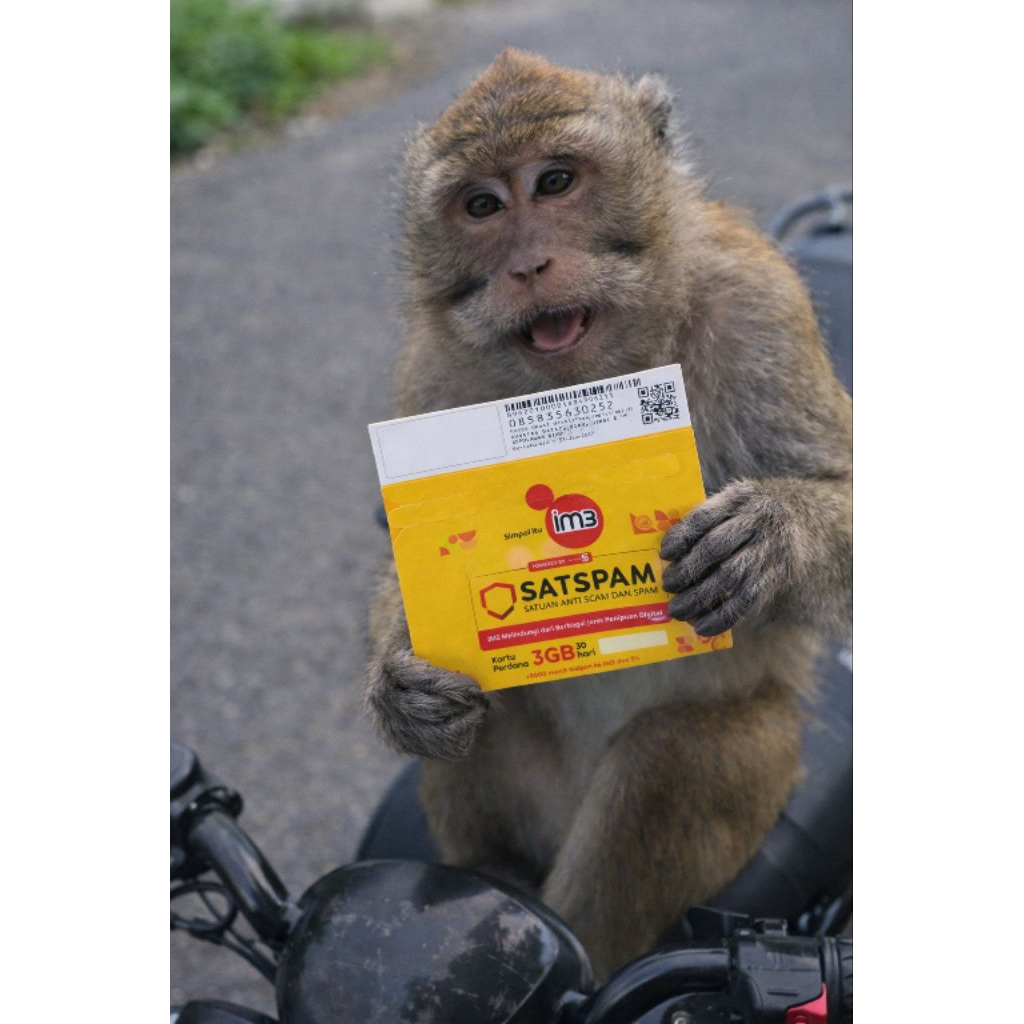 kartu perdana 3gb im3