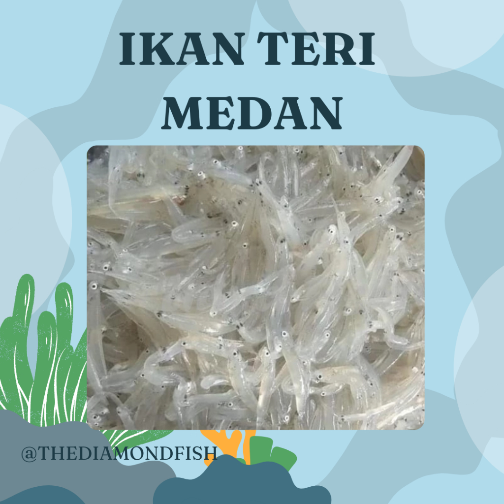 Ikan Teri 1Kg Ikan Teri Segar Ikan Teri Basah Ikan Teri Nasi Segar Ikan Teri Nasih Basah Segar Teri 