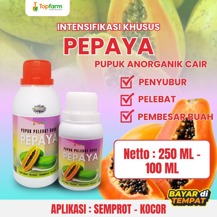 pupuk perangsang melebatkan menyuburkan buah pepaya/pupuk booster organik pepaya/Booster Perangsang 