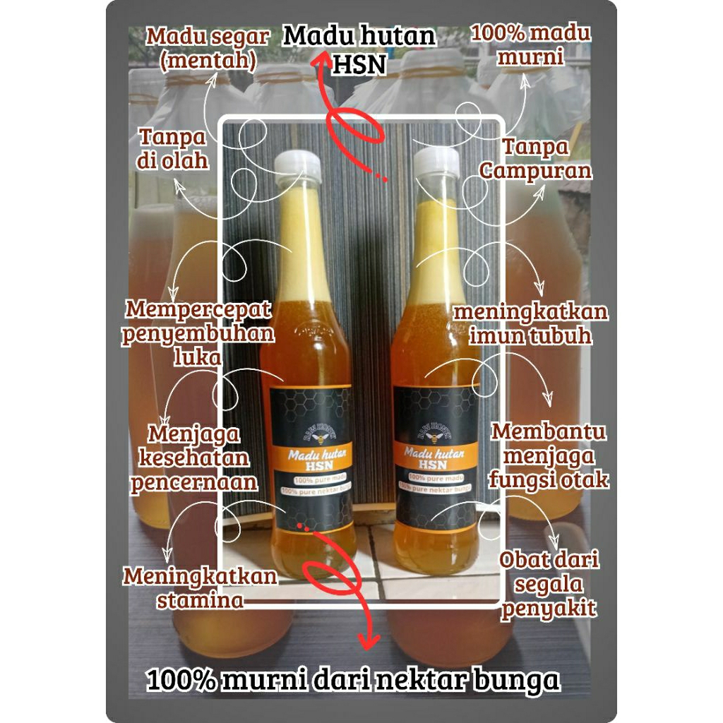 madu hutan liar/odeng