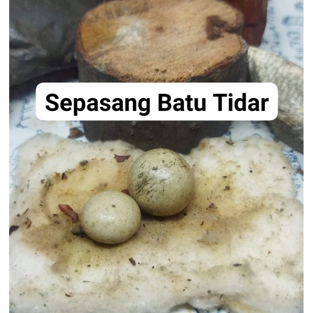 Batu akik Jenis Sepasang Batu Tidar Asli Alam