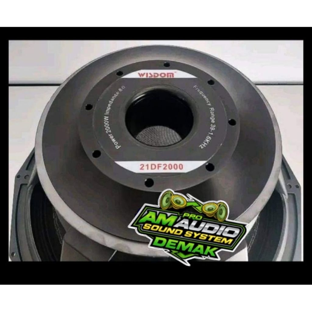 Speaker 21 inch Wisdom 21DF2000