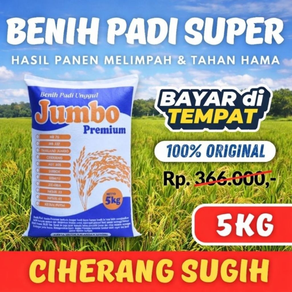Benih Padi Ciherang Sugih original 5kg premium