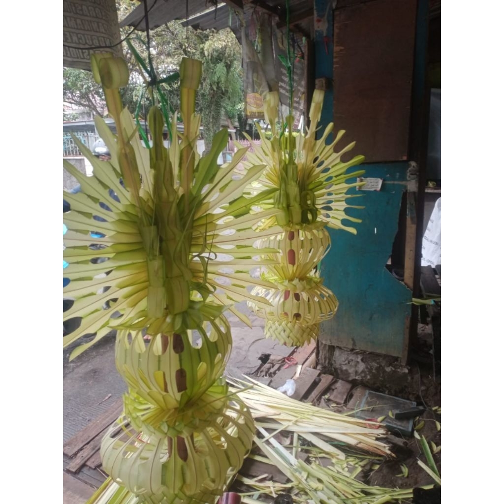 janur  kuning kembar mayang