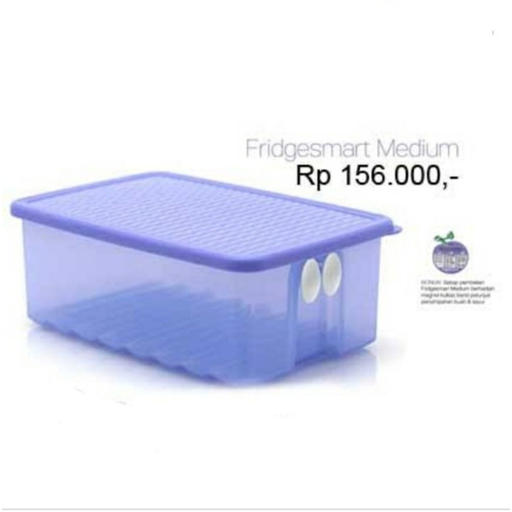 Fridgesmart Tupperware (1)