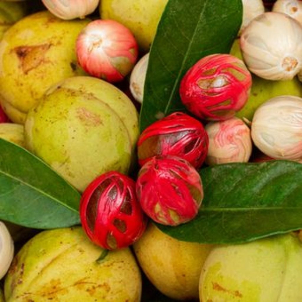 biji pala kupas basah/500gdi jamin fresh