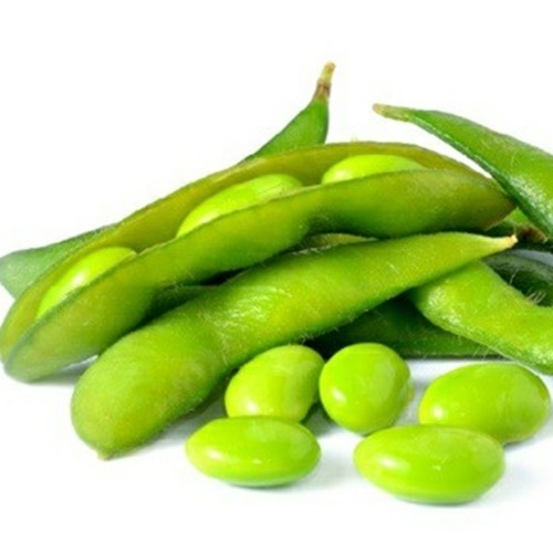 5 Benih Biji Kacang Kedelai EDAMAME