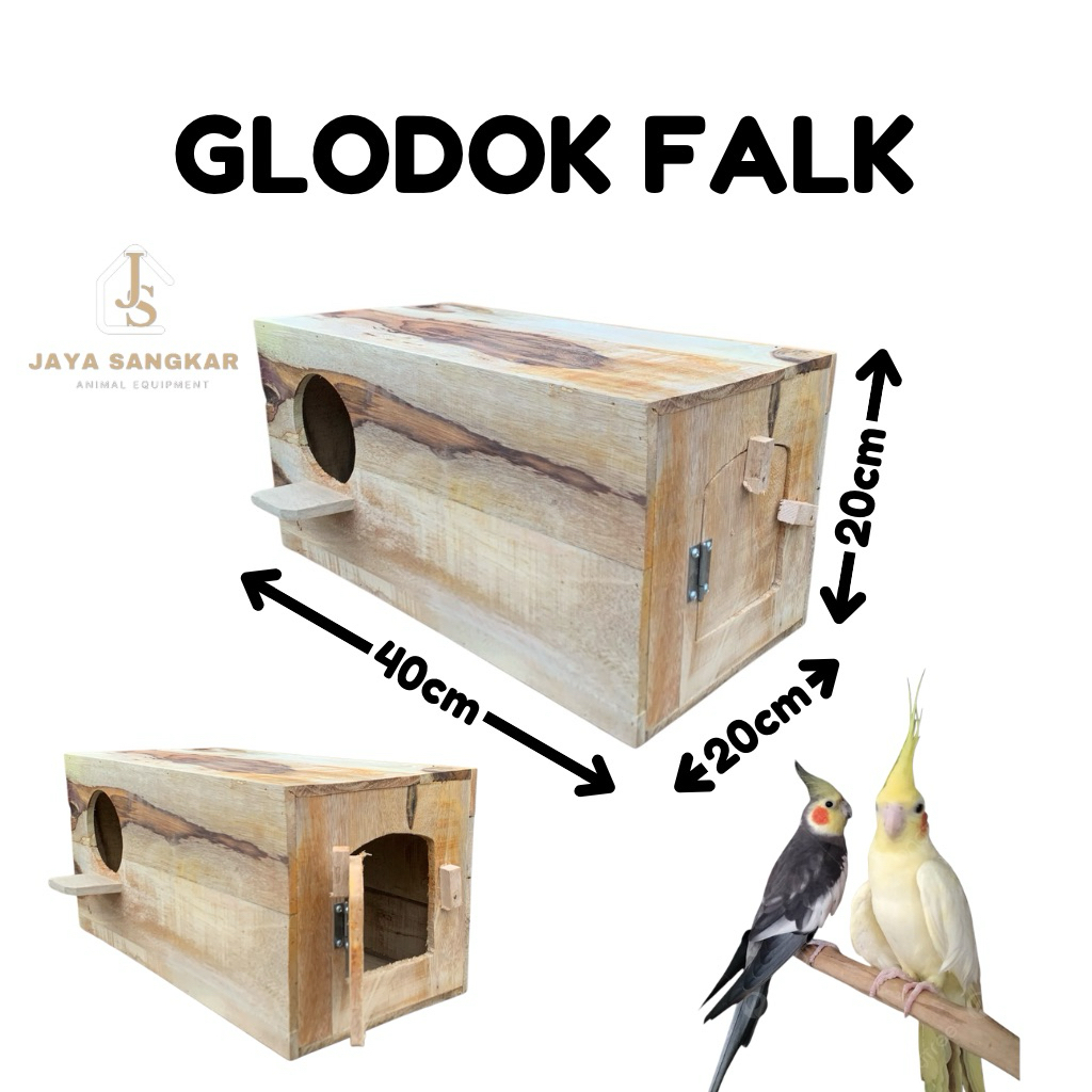 Glodok Burung Falk Parkit Beo Nuri Dll