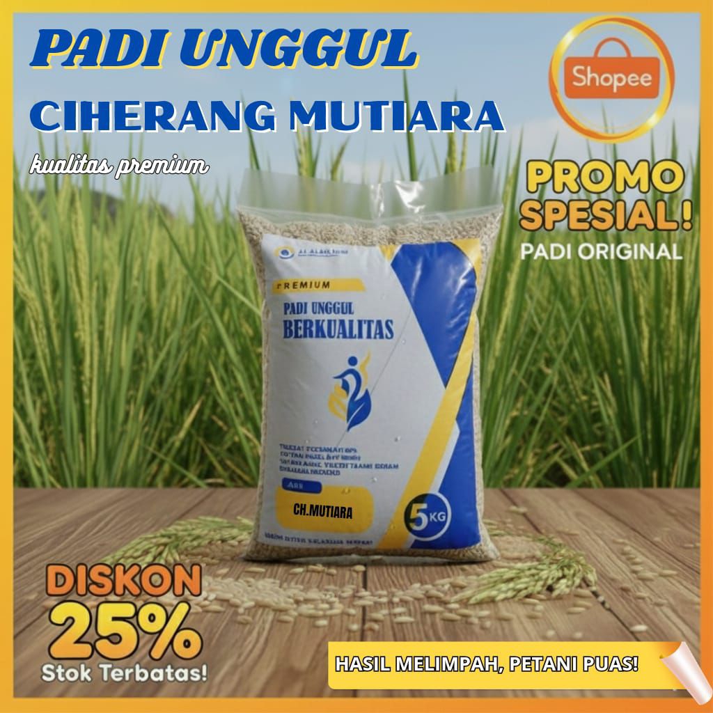Padi unggul Ciherang mutiara 5kg bermutu tinggi