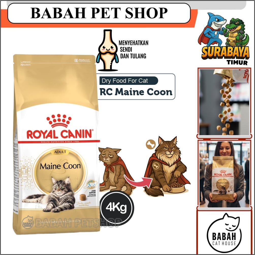 4kg ROYAL CANIN ADULT MAINECOON cat food makanan kucing rc main coon untuk dewasa ras besar bulu pan