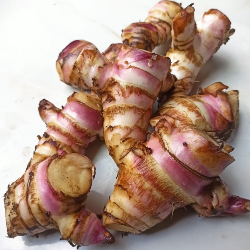 umbi ganyong khas muria makanan jadul 1 kg