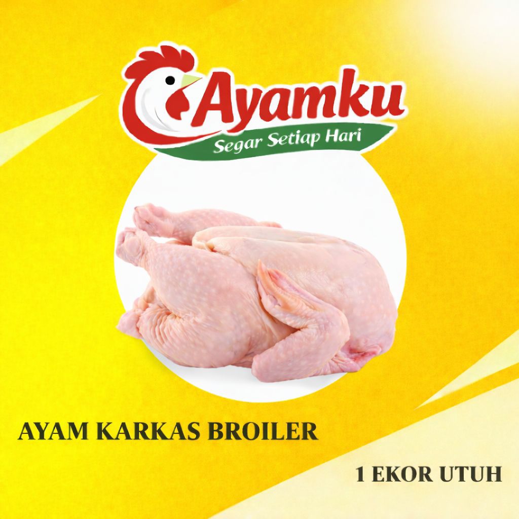 Ayam Karkas Broiler 1 Ekor Utuh