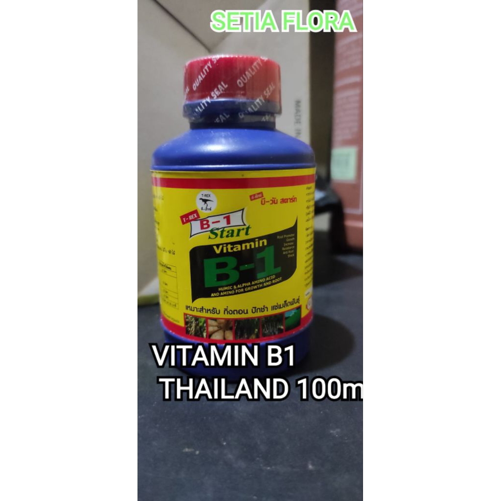 Vitamin B1 Thailand Original 100ml