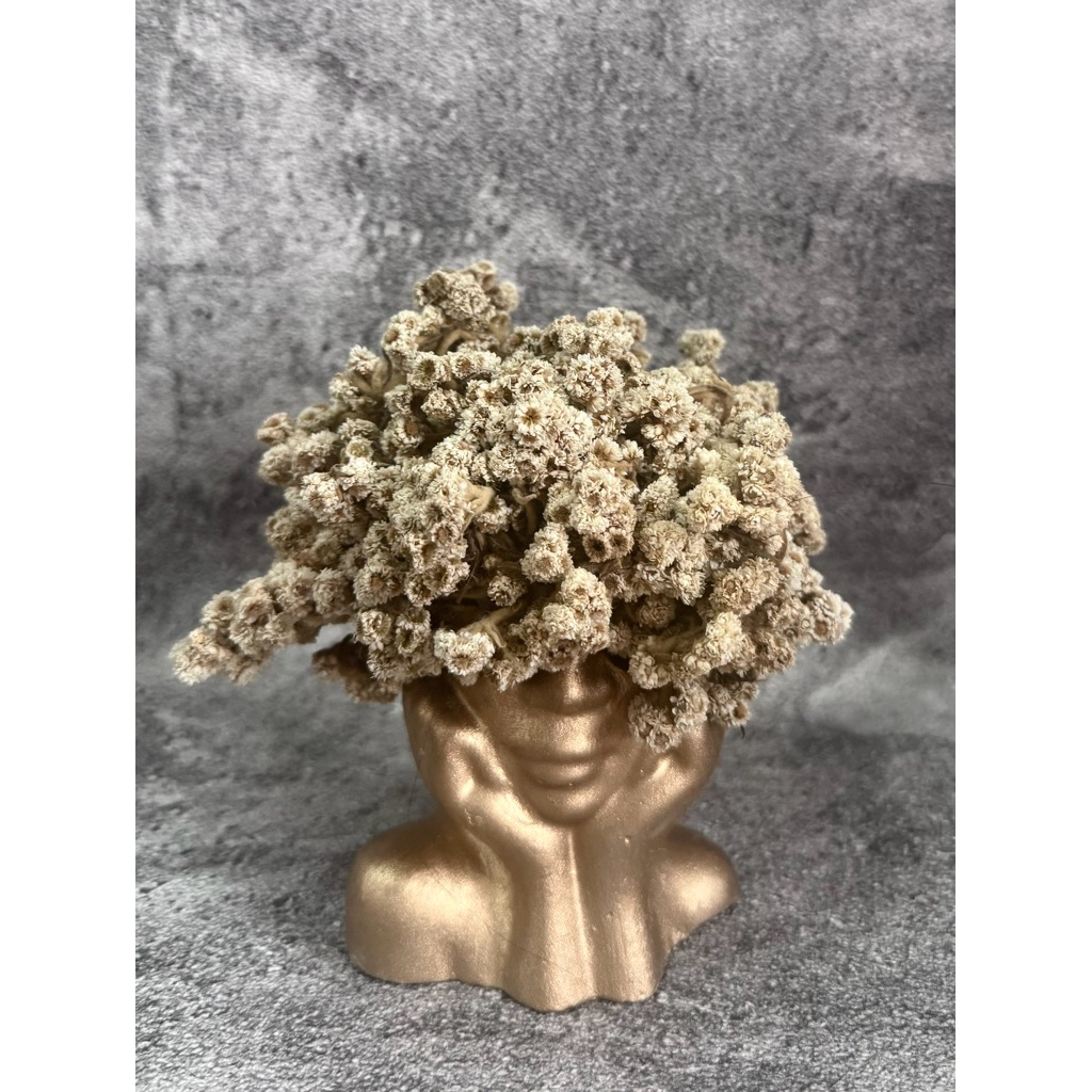 MINI VAS GOLD EDELWEIS ATAU ARTIFICIAL